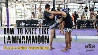 Knee like Lamnammoon | Namsaknoi Muay Thai