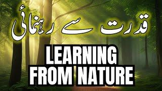 Lessons from Nature | Life Lessons | Learning from Nature | Rules of Nature | LESSON 1