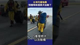 台灣花蓮強震️特搜隊和搜救犬出動了‍ | 台灣大紀元時報