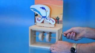 Griffith University Design and Technology Automata Student Projects