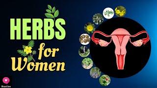 Herbs For Women - The Uterus, Hormones, Fertility, Menopause | Blissed Zone