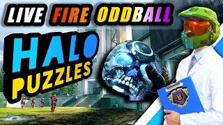 Halo TIPS to IMPROVE  |  Oddball PUZZLES  |  Halo INFINITE Multiplayer TIPS