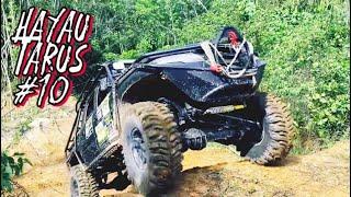 Hayau tarus 10 Adventure Offroad