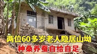 探访广西大山里的独户人家，两位60多岁老人隐居山坳，种桑养蚕自给自足！【乡村阿泰】