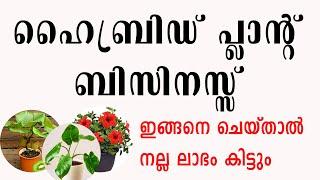 ഹൈബ്രിഡ് പ്ലാന്റ് നഴ്സറി ആരംഭിച്ച് ലാഭമുണ്ടാക്കാം Hybrid Plant Nursery Business idea Malayalam