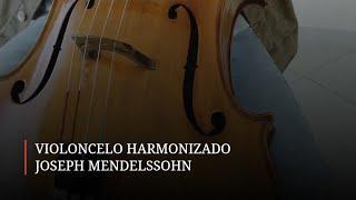 Violoncelo Joseph Mendelssohn 2023 4/4 Modelo Stradivari n.3 - Atelier dos Violinos