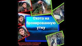 Охота на утку #Налет за налетом#Охота с подхода на КРЯКВУ. Эксклюзив 03.09.2018г