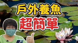 不用花錢只要做對這件事，就能讓戶外缸生生不息！If you do this right, you can keep your outdoor tank alive!｜AC草影水族