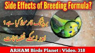 Australian Parrots Breeding Formula |Side Effects| in Urdu / Hindi By |Arham|., Video. 318