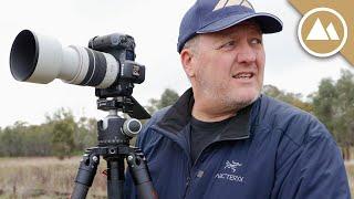 I drove 200 km to shoot a dead tree.