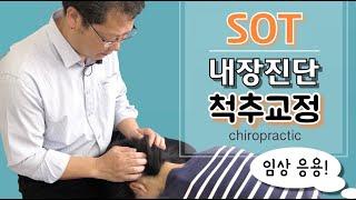 내장 관련 등 통증, 근육통 푸는 법- 카이로프랙틱 임상 응용편