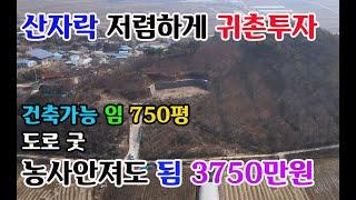 [저렴한 임야] 홍성군 갈산면 임750평 산자락 귀촌 전원주택지 구농귀촌 싼땅전문3750만 홍성부동산 예산부동산 부동산필