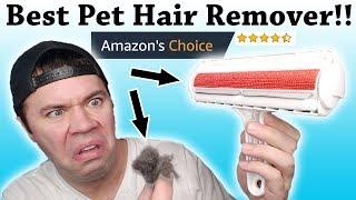 Best Way to Remove Pet Hair? | Chom Chom Roller Review - World's Best Pet Hair Remover