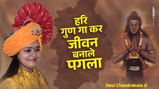 हरि गुण गाकर जीवन बनाले पगला | Hari Gun Gake Jivan Banale Pagla | Bhajan Devi Chandrakala Ji