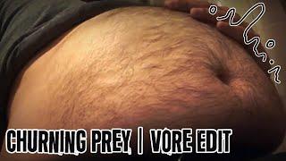 Churning Prey | Vore Fantasy, Unwilling Prey, Male Pred