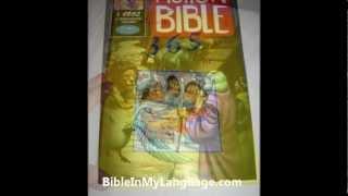 A Collection of Children's Bibles / Numerous Foreign Languages