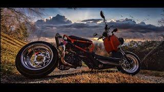 Honda Ruckus-The Wanderer 360 Timewarp