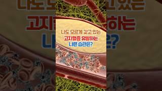 고지혈증을 만드는 습관 5가지! 절대 하지 마세요!
