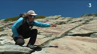 Parc du Mercantour : découvrez les peintures rupestres