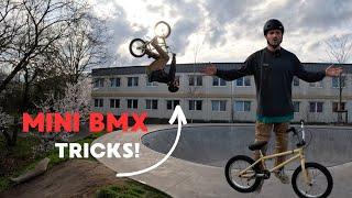 TRICKS MIT 16" MINI BMX! Gute Alternative zum Tricks lernen?! | Peter Henke