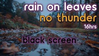 [Black Screen] Rain on Leaves and Puddles No Thunder | Rain Ambience | Rain Sounds for Sleeping