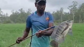 The best fish archer from Papua