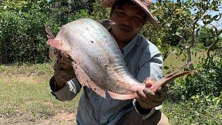 Amazing smart boy catching big fish in underground hole 2020