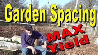 Garden Spacing For Maximum Yield and Variety