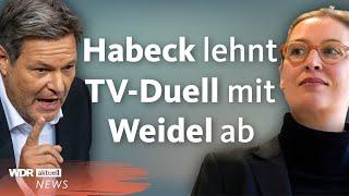 Habeck will ein TV-Duell mit Scholz und Merz - aber nicht mit Weidel | WDR Aktuelle Stunde