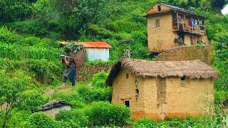 This is Himalayan Nepali village life|| Naturally And Beautiful Himalayan Rainy Season lifestyle