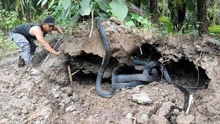 DISCOVERY OF THE BLACK SNAKE FIGURE GUARDING THE EARTH HOLE | SNAKE | COBRA | RESCUE