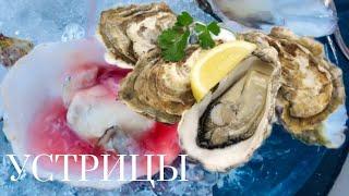 Устрицы — специфический вкус, морской запах ... #Рестораны #Foodieel