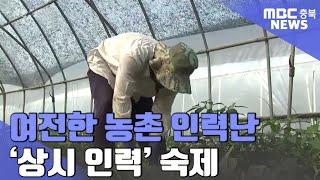 외국인 농부에 숨통 트였지만..상시인력공급 숙제ㅣMBC충북NEWS