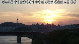 #서울 #서울숲공원 #한강조망 #성수구름다리 한강 전망대 노을 풍경 #asmr