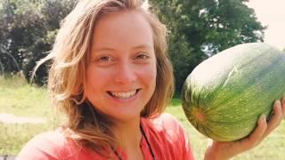 Wilderkind: Wild-Superfoods- Fermenting the biggest Courgette ever