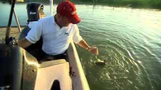 Fisherman's Handbook 2013- Falcon Lake- A Look Back and Look Forward