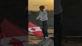 FLYING CANADA  KITE || KITE VIDEOS || PATANG KI VIDEO || KITE VLOGS ||#kitevlogs #kite #kiteflying