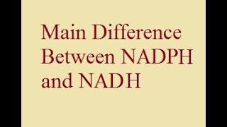 Difference between NAD, NADH , NADP and NADPH | For XII, B.Sc. and M.Sc. | @AllAboutBiology