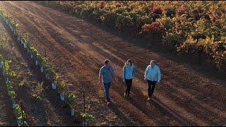 Winery Spotlight: Caymus & The Wagner Family's Story