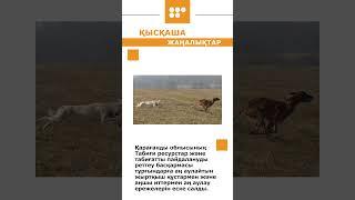 #новости #5 канал Караганда