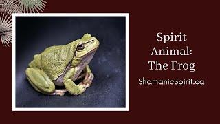 Animal Spirit Guide: The Frog (Shamanic Power Animal). Frog Symbolism