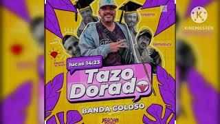 Tazo Dorado - Banda Coloso (producciones tazodoradomusic)