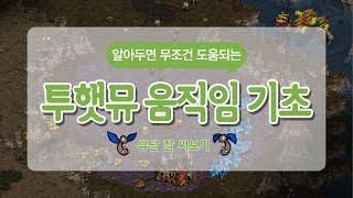 4배럭 상대 투햇 뮤탈 기본 움직임 + 간단한 애니메이션 설명 VS S 테란