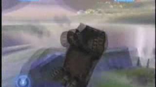 Flying with Sarge