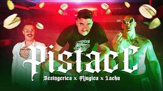 Desingerica x Pljugica x Lacku - PISTACC