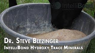 IntelliBond Hydroxy Trace Minerals