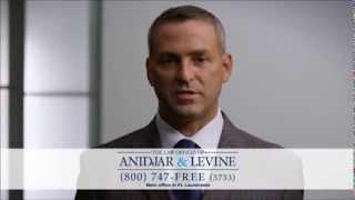 Anidjar & Levine - Glenn Levine - Everyday People