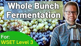 Whole Bunch Fermentation for WSET Level 3