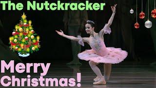 Dance of the Sugar Plum Fairy from The Nutcracker (Mariinsky Ballet)