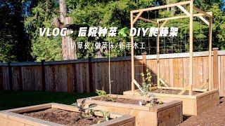 Garden Vlog｜后院小菜园｜DIY豌豆黄瓜爬藤架｜做新菜床｜新手木工｜后院种菜｜How to Make Trellis｜一圆又一圆